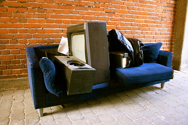 Best Electronics Removal Services  in Rogers, MN